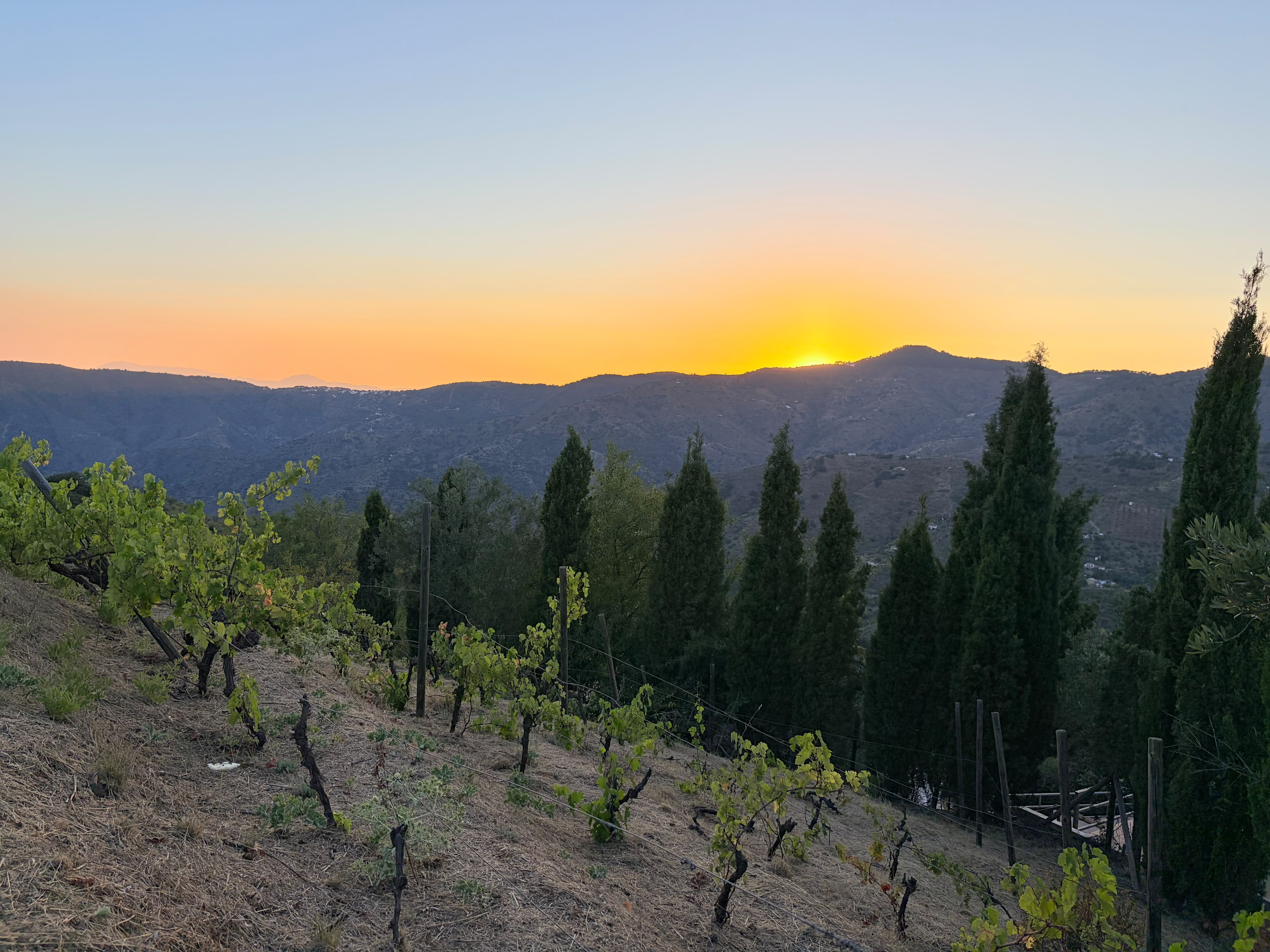 Zonsondergang bij Finca Vida Feliz